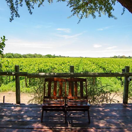 Upington African Vineyard Boutique Hotel & Spa Keimoes Eksteriør billede