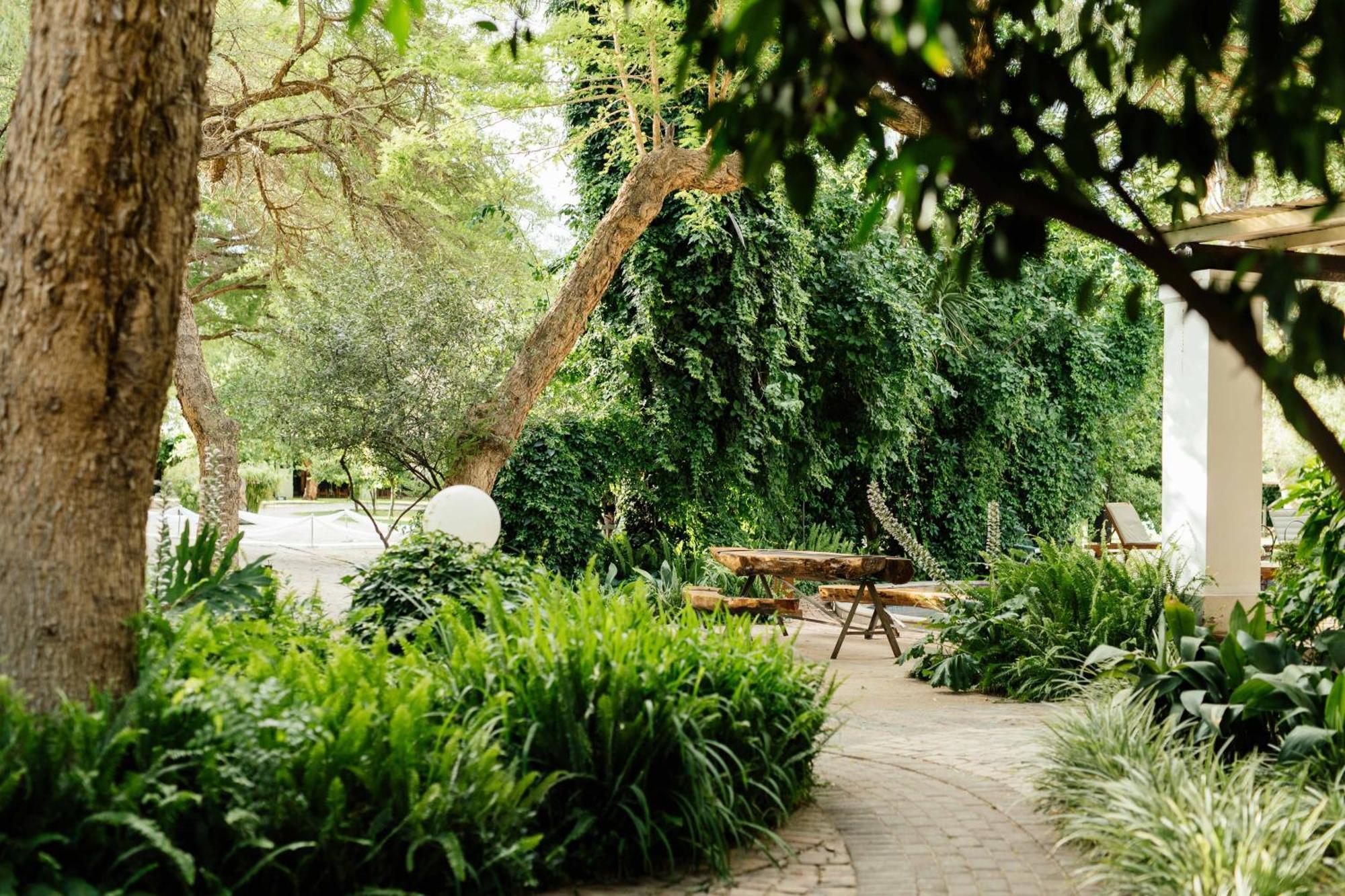 Upington African Vineyard Boutique Hotel & Spa Keimoes Eksteriør billede