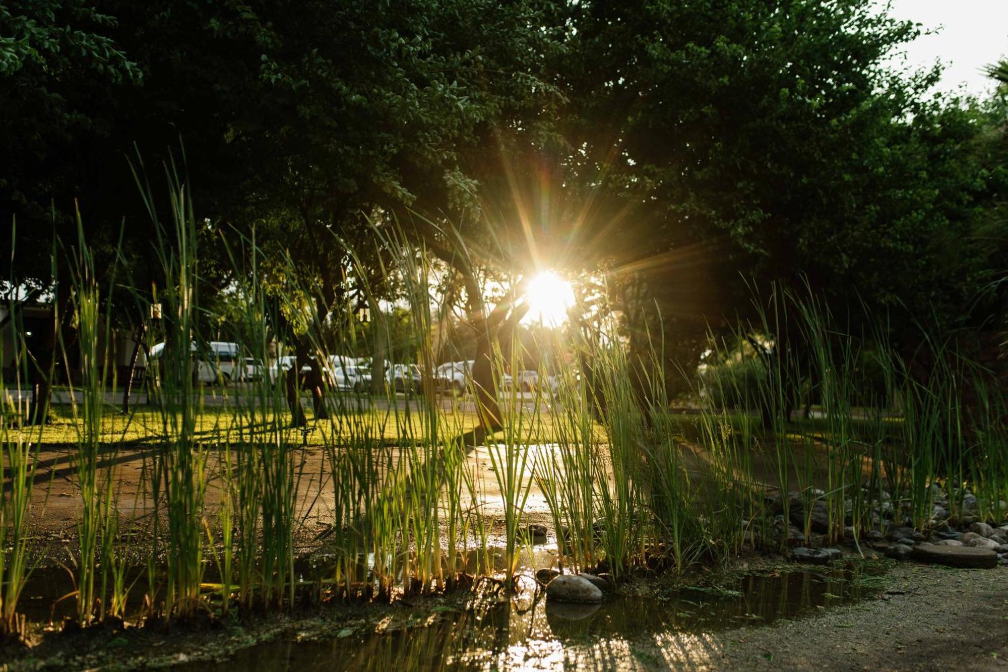 Upington African Vineyard Boutique Hotel & Spa Keimoes Eksteriør billede