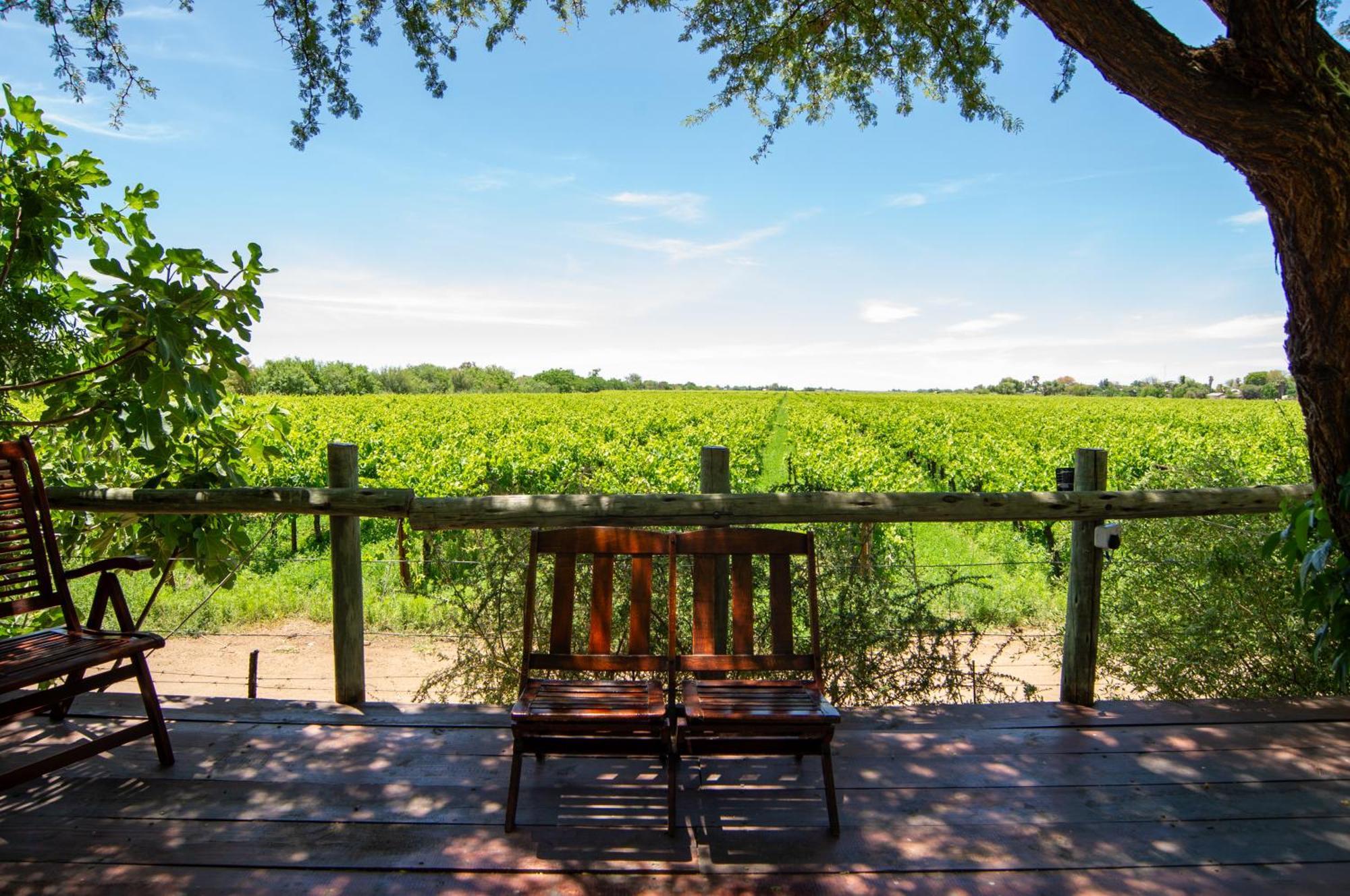 Upington African Vineyard Boutique Hotel & Spa Keimoes Eksteriør billede